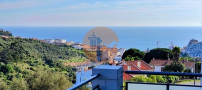 /international/pt/setubal-madeira-310096372815/
