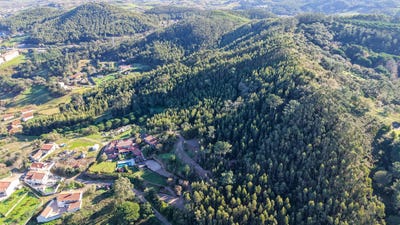 /international/pt/r-da-maceira-51-2665-150-picao-portugal-vila-franca-lisbon-310104491197/