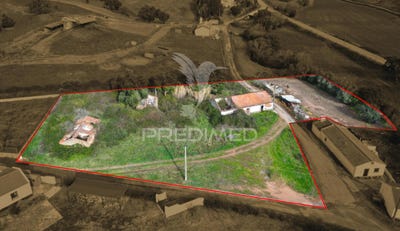 /international/pt/sao-teotonio-odemira-beja-310097541138/