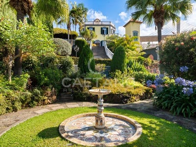 /international/pt/santa-luzia-madeira-310108643980/?lang=fr