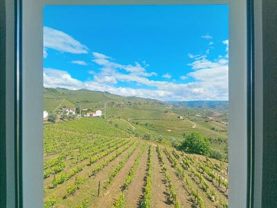 /international/pt/5030-386-sanhoane-portugal-lobrigos-sao-miguel-vila-real-310102840803/