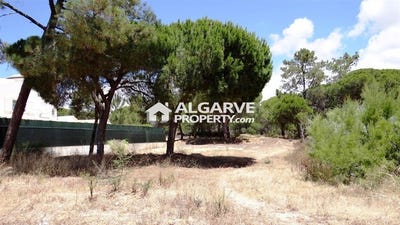 /international/pt/almancil-faro-310102039417/