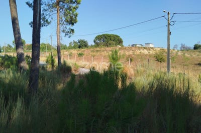 /international/pt/mangualde-viseu-310101901057/