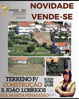 /international/pt/lobrigos-sao-miguel-e-sao-joao-baptista-e-sanhoane-santa-marta-de-penaguiao-vila-real-310105080734/