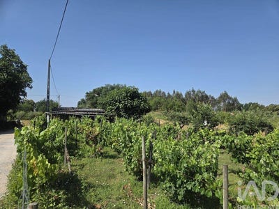 /international/pt/viseu-viseu-310108921108/?lang=es