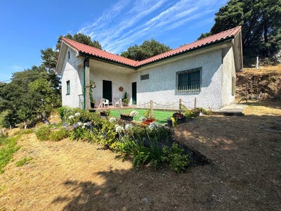 /international/pt/loivos-da-ribeira-e-tresouras-porto-district-310101108530/?lang=zh-cn
