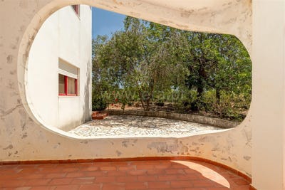 /international/pt/quelfes-faro-310101375969/