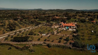 /international/pt/idanha-a-nova-e-alcafozes-castelo-branco-310101187596/?lang=it