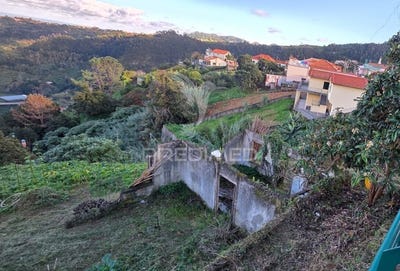 /international/pt/ilha-santana-madeira-310107178593/