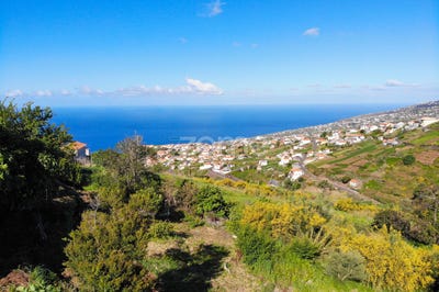 /international/pt/calheta-madeira-madeira-120078810453/