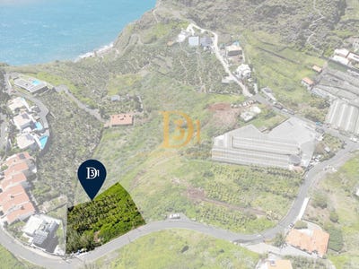 /international/pt/ribeira-brava-madeira-310096795386/