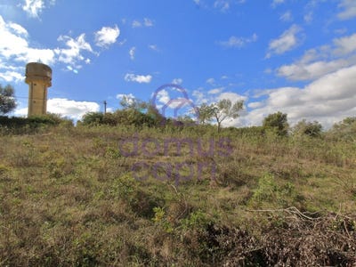 /international/pt/moncarapacho-faro-310104857966/