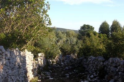 /international/pt/porto-de-mos-leiria-120073868310/