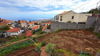 /international/pt/rua-professor-virgilio-pereira-funchal-portugal-ilha-da-madeira-madeira-310108667872/?lang=zh-cn