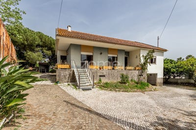 /international/pt/loures-lisbon-310107579514/