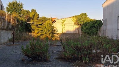 /international/pt/sesimbra-castelo-setubal-municipality-310107534426/