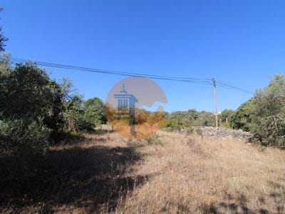 /international/pt/faro-faro-120086454047/
