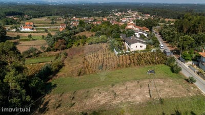/international/pt/aguada-de-cima-aveiro-310094507714/