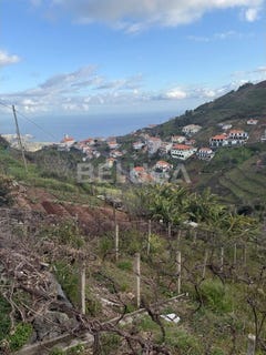 /international/pt/camara-de-lobos-madeira-310107625106/