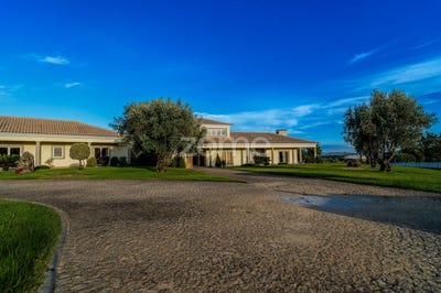 /international/pt/viseu-viseu-310102241216/