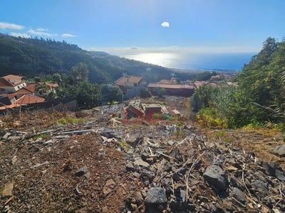 /international/pt/sao-roque-madeira-310097946906/