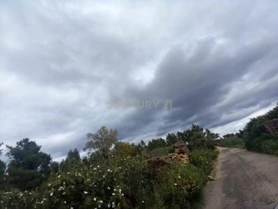 /international/pt/q96c-8p-retaxo-portugal-sarnadas-de-rodao-castelo-branco-310107411962/