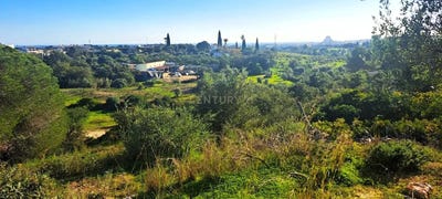 /international/pt/sitio-da-mosqueira-ferreiras-faro-310105177210/