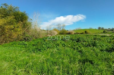 /international/pt/leiria-leiria-310098792643/