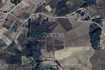 /international/pt/gouveia-guarda-310101666945/