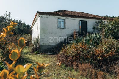 /international/pt/baiao-porto-310095941234/?lang=zh-tw