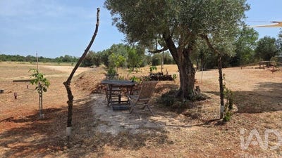 /international/pt/alte-faro-310102515845/