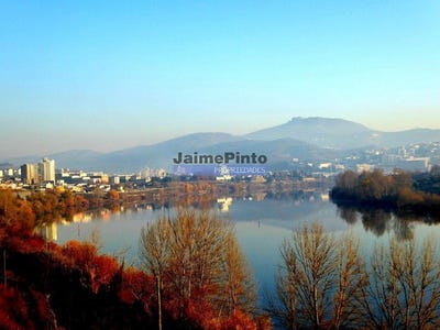 /international/pt/peso-da-regua-e-godim-vila-real-district-310102863244/