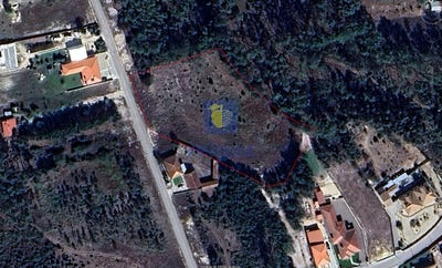 /international/pt/coimbrao-leiria-310109076358/