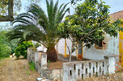 /international/pt/abrantes-santarem-310099708921/