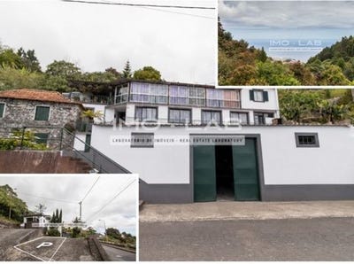 /international/pt/santa-cruz-madeira-310109079150/