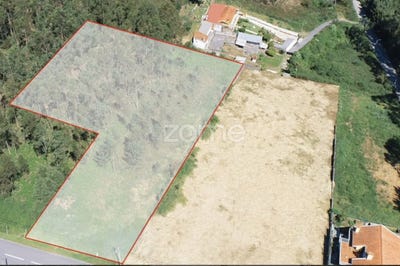 /international/pt/ovar-aveiro-120092607364/