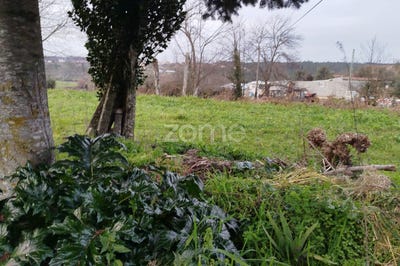 /international/pt/mangualde-viseu-310098389291/
