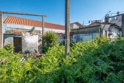 /international/pt/maia-porto-310107290874/