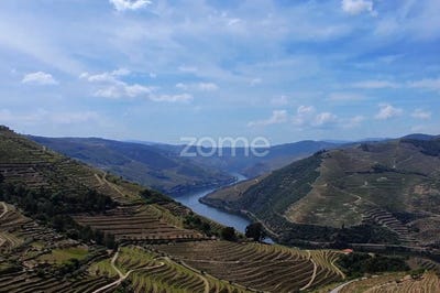 /international/pt/sao-joao-da-pesqueira-viseu-310108053005/