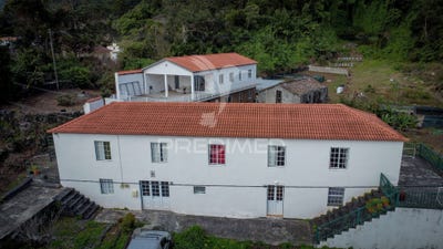 /international/pt/urzelina-sao-mateus-velas-azores-310108421201/