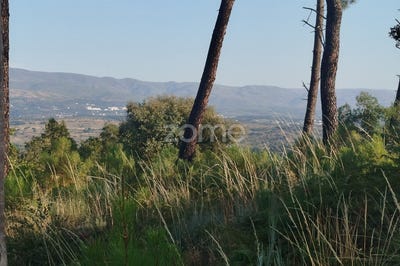 /international/pt/mangualde-viseu-310101468996/?lang=zh-cn