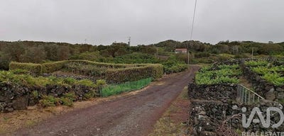 /international/pt/ilha-do-pico-azores-310108483272/