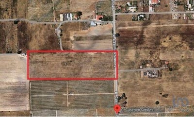 /international/pt/palmela-setubal-municipality-310100042917/
