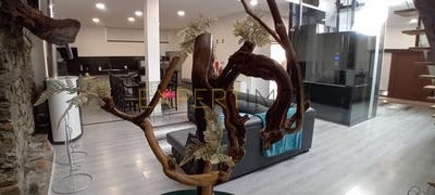 /international/pt/braganca-braganca-310100639742/