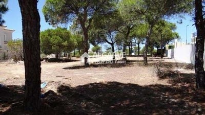 /international/pt/almancil-faro-310108928077/