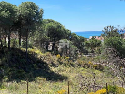 /international/pt/loule-faro-310100486993/
