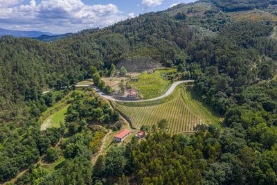 /international/pt/celorico-de-basto-braga-310102346709/
