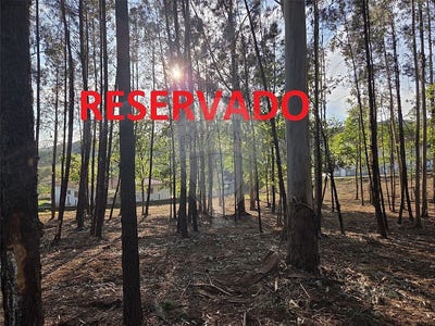 /international/pt/viana-do-castelo-viana-do-castelo-310109015065/