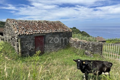 /international/pt/nordeste-azores-120086050036/