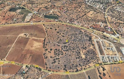 /international/pt/faro-faro-310101968181/